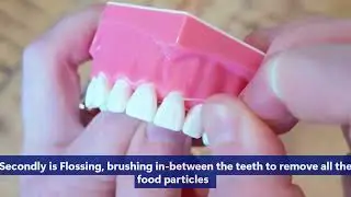 Bad Breath Causes, Prevention, and Treatment