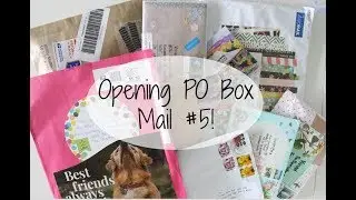 Opening PO Box Mail #5!