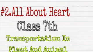 #2 Transportation In Plant And Animal | All About Heart | LearnFree