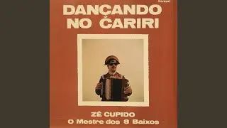 Os Bicudos