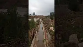نهر أم الربيع..وطائر النغاف والحجل... ثلاثية تحتفل بالمطر والخضرة والوجه الحسن..