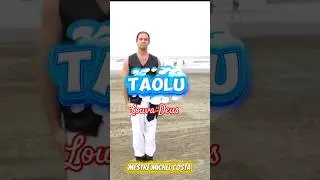 #taolu Louva Deus #kungfu #shaolin #shaolinkungfu