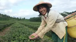 Formosan Farms Red Oolong