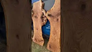 Romanian oak #shorts #stihl #milling