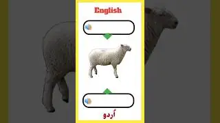 sheep name in English urdu #shorts