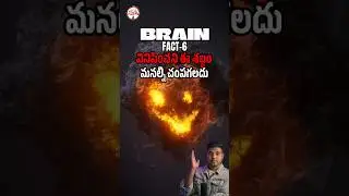 వినిపించని శబ్దం మనల్ని చంపేస్తుందా? |#jeevstelugufacts