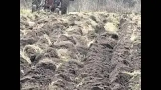 2 bottom trip plow.