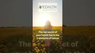 Discover the Secret of 5 Elements for Wellness | Vedalth