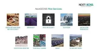 NextGEOSS Pilot Services