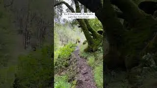 A Beautiful off-the-beaten Path Hike in Henry Coe State Park, Morgan Hill
