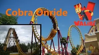Cobra Onride - Walibi Belgium 2017