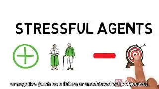 Job Demands and Resources Model (English)
