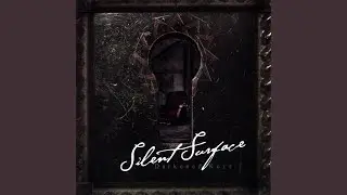 The Sleep