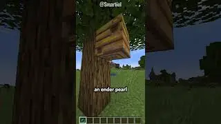The Hive From the Inside! #shorts #minecraft