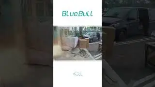 Shipping Stories: Adventures in Logistics with Blue Bull International