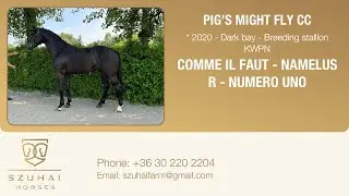 COMME IL FAUT x  NAMELUS R x NUMERO UNO  2020 BREEDING STALLION