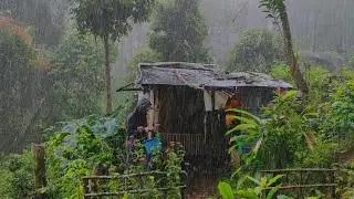 Kembali Di Guyur Hujan Deras - Hidup Di Pondok Hutan - Mencari Sayur Saat Hujan Untuk dimasak