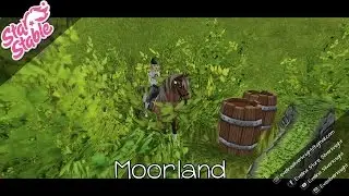 StarStable Online | Moorland Stars