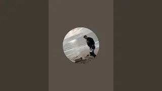 بدأت قناة 