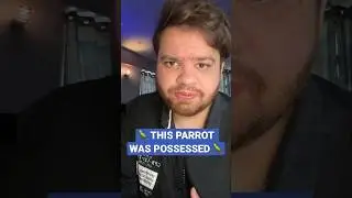 This Parrot was Possessed (Real Proof) #savagenewsfurkan