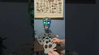 Taylorbot&rsquo;s New Back Piece - Part 1: Florida Plans Revealed! 🤖🌴