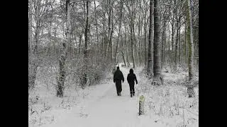 Rondje Rembrandtpark Amsterdam na de sneeuwval van  07-01-2026