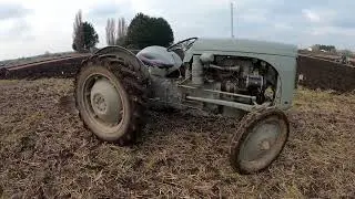 1949 Ferguson TE20 2.4 Litre Perkins P3 3-Cyl Diesel Tractor (34HP) Newborough YFC Ploughing 2025