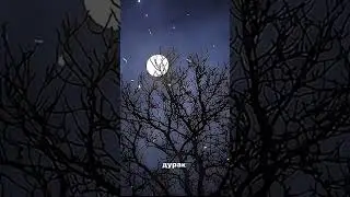 Музыка 🎧 #tiktok #рек
