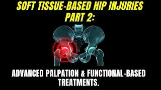 Soft Tissue Based Hip Injuries Part 2: Adductor Magnus Palpation & Functional-Based Treatment.