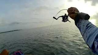 JOOOSSSS‼️ternyata pakai umpan udang hidup lebih gacor jackpot semua #fishing #spotmancingdibali