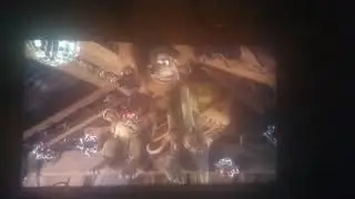 Chicken run flip flop fly