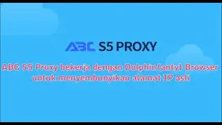 ABC S5 Proxy bekerja dengan Dolphin{anty} Browser untuk menyembunyikan alamat IP asli #dolphin