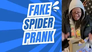Fake Spider Prank