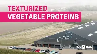 Texturized Vegetable Proteins production with Clextral
