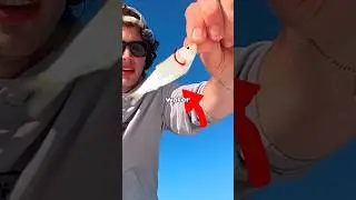 Я ловил ЗЛУЮ рыбу 🐟🎣