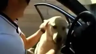Cristiano Ronaldo and his dog