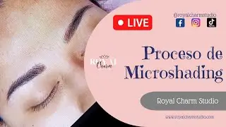 Proceso de Microshading (Microblading + shading)