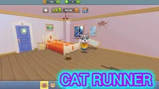 Cat Runner New Renovate Bed Room Design 💯🙏