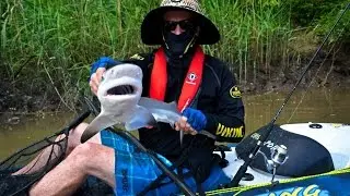 Brisbane River Bull Shark, kayak fishing in the Viking Profish GT