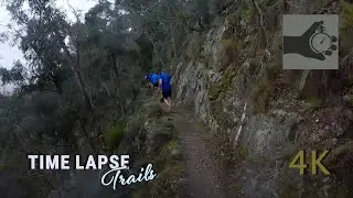 Byers Back Track - Blackwood to O'Briens Crossing, Australia - Trail Run 4K Time Lapse - wildflowers