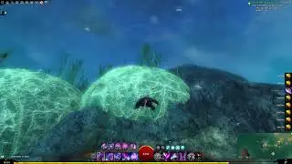 Guild Wars 2 - Completing PvE Dailies 2025-08-29 (EveCD-DefEnha-Dodge-Gather25)