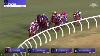 Memsie Stakes 2025 - TREASURETHE MOMENT (3YO+ WFA G1) Group 1 Caulfield 30  August