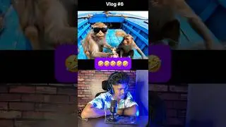 Real Monkey 🐵⁉️🫣💦#shorts #spicyreactions #reactionvideo