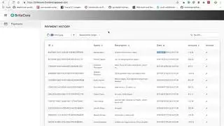 Vue data table (reusable component) overview