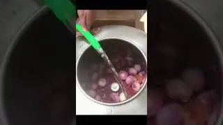 Hot eyes onion peeling machine