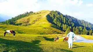 Hike To Kandow Sar & Bahadar Sar Shangla Valley