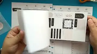 Plan with Me / Wild Styled / Classic Happy Planner