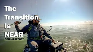 February 2023 Fishing Report: The Transition Is NEAR