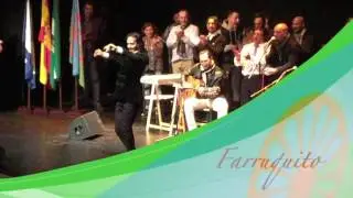 D&iacute;a de los Gitanos Andaluces en M&aacute;laga