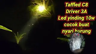 Senter taffled c8 pake led Yinding 10W buat nyari burung buwek